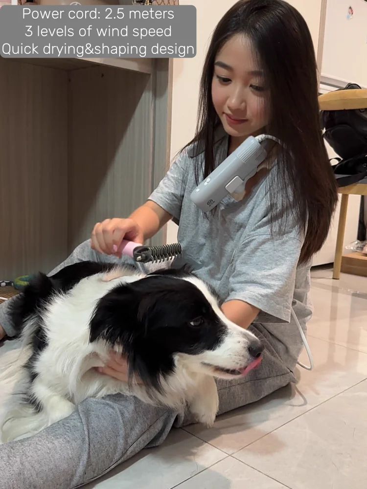 1400W EU Specific Pet Dryer Negative Ion 2-in-1 Hanging Neck/Handheld Hair Drying Blowing for Dog/Cat Bathing Drying&Shaping