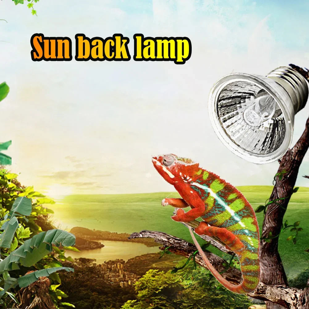 1-10PCS 25/50/75W UVA+UVB Reptile Lamp Bulb Turtle Basking UV Light Bulbs Heating Light Full Spectrum Sunlamp for Amphibians