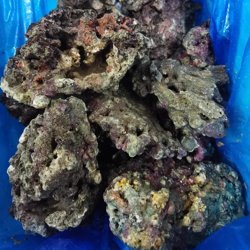 Sea Water Fish Tank Coral Reef Landscape Natural Coral Stone Coral Cultivation Base DIY Originality Scenery