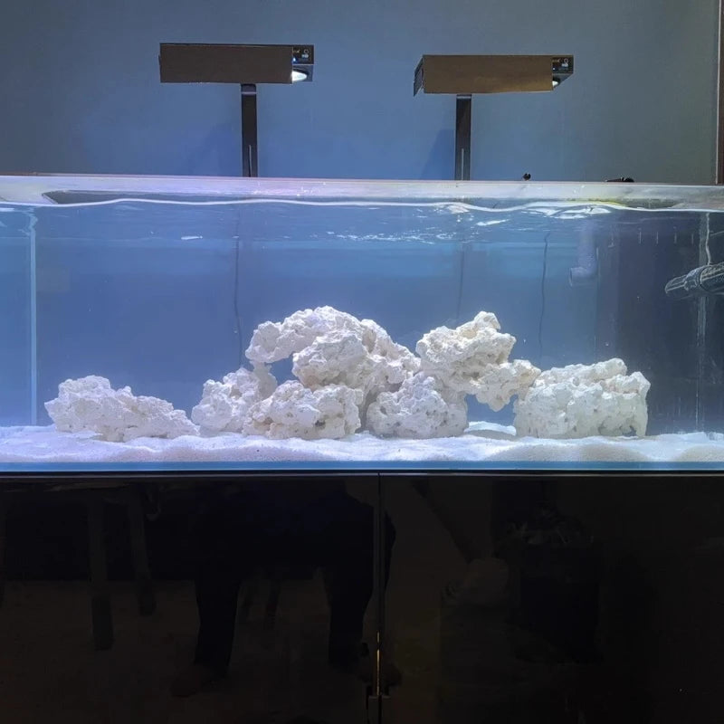 Sea Water Fish Tank Coral Reef Landscape Natural Coral Stone Coral Cultivation Base DIY Originality Scenery